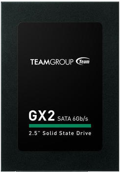 Team Group Team GX2 256GB