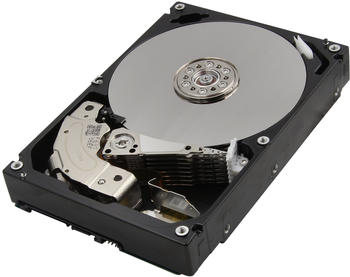 Toshiba Enterprise 6TB (MG06ACA600E)