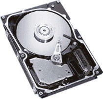 Seagate Cheetah 10K.6 146 GB (ST3146807LW)