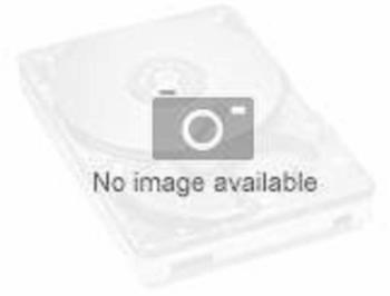 Lenovo SAS III 800GB (889488474493)