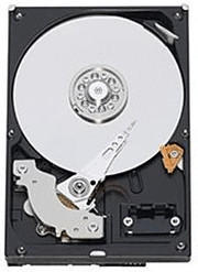 Western Digital Caviar GP SATA II 1TB (WD10EAVS)