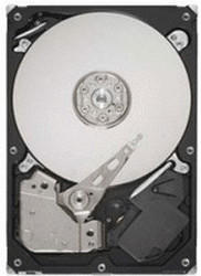 Seagate Barracuda 7200.12 250GB (ST3250318AS)