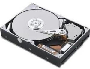 IBM SAS 900GB (81Y9663)