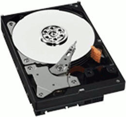 Western Digital AV-GP 1TB (WD10EVCS)