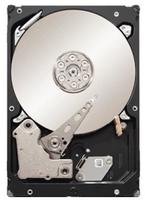 Seagate ST32000641AS 2000 GB