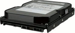 Samsung SpinPoint T133S 300GB (HD300LJ)