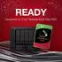 Seagate IronWolf 4TB (ST4000VN006)