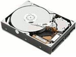 IBM Hot-Swap SATA II 750GB (43W7576)