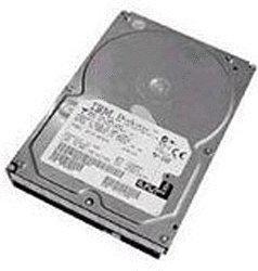IBM Express 250GB Simple-Swap SATA II