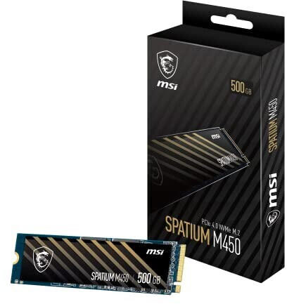 MSI Spatium M450 500GB