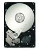 Seagate Constellation ES ST31000424SS Interne Festplatte 1TB (8,9 cm (3,5 Zoll), 7200