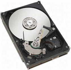 Fujitsu Hot Plug HD SAS EP 300GB (S26361-F4005-L530)