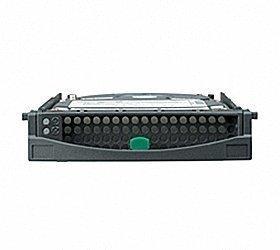 Fujitsu Hot Plug SAS 300GB (S26361-F4006-L130)
