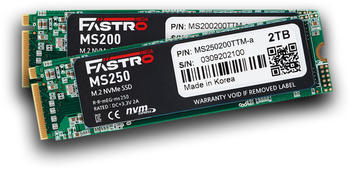 Mega Fastro MS250 1TB