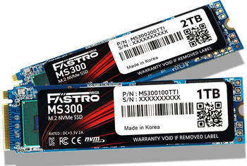 Mega Fastro MS300 2TB