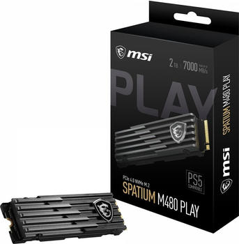 MSI Spatium M480 Play 2TB