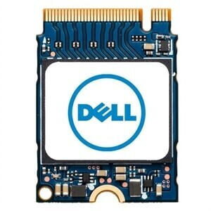 Dell NVMe 256GB M.2 (SNP112233P/256G)