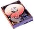 Western Digital Caviar Blue SATA I