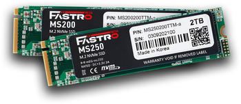 Mega Fastro MS250 2TB