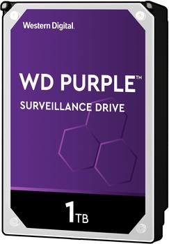 Western Digital Purple 1TB (WD11PURZ)