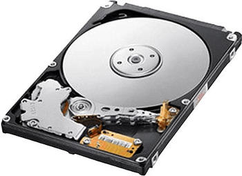 Samsung Spinpoint MP4 500GB (HM500JJ)