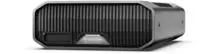 Sandisk HDD-Festplatte "Prof. G-DRIVE PROJECT 12TB" 12 TB Anschluss Thunderbolt 3 