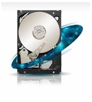 Seagate ST1000NM0001 Constellation ES 1 TB