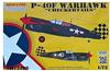 Special Hobby P-40F/L Warhawk 