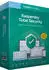 Kaspersky Total Security 2020