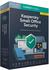 Kaspersky Small Office Security 2019