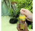 JBL Pronovo Bel Grano XS 100ml CLICK