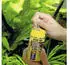 JBL Pronovo Bel Grano S 100ml