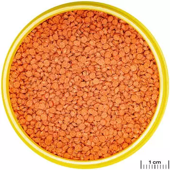 JBL Pronovo Bits Grano M 250ml – JBL Pronovo Bits Grano M 250ml: Das ideale Futter für Ihre Zierfische