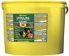 Tropical Spirulina Forte 36 % 11 Liter / 2 kg