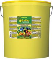 Tropical Spirulina 21 Liter / 4 kg