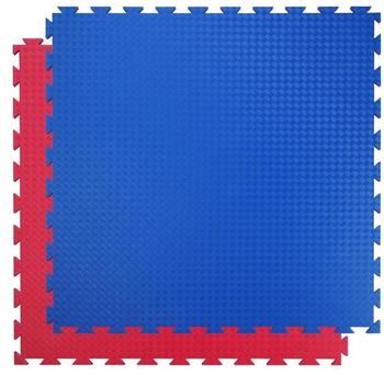 Trendy Sport Kampfsportmatte (1123)