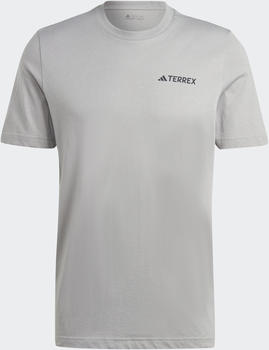 Adidas TERREX Graphic MTN 2.0 T-Shirt (IL5064) mgh solid grey