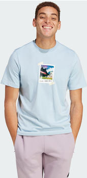 Adidas All Day I Dream About... Graphic T-Shirt Men (IN6440) wonder blue