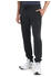Icebreaker Shifter II Pants black