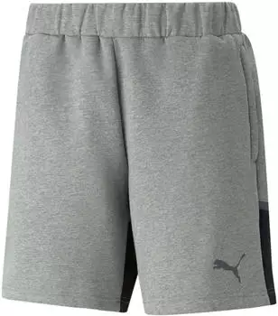 Puma Herren Teamcup Casuals Shorts (657989) medium gray heather