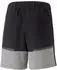 Puma Herren Teamcup Casuals Shorts (657989) puma black