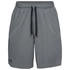Under Armour Tech Mesh Shorts pitch grau schwarz