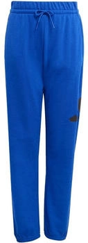 Adidas Essentials Trainingshose JD2093 team royal blue schwarz