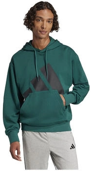 Adidas Essentials Big Logo French Terry Kapuzenpullover JE8896