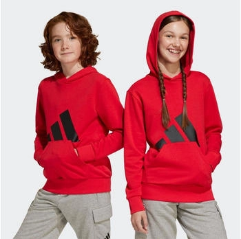 Adidas Essentials Big Logo Kapuzenpullover JE1389