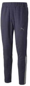 Puma teamCUP Casuals Pants 657988-06 parisian night