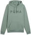 Puma Cloudspun Branded grün