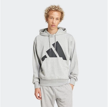 Adidas Essentials Big Logo French Terry Kapuzenpullover JE8889
