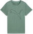 Puma Tad Essential Heather Logo Trainingsshirt