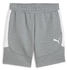 Puma Herren Short TeamEvostripe (659951)